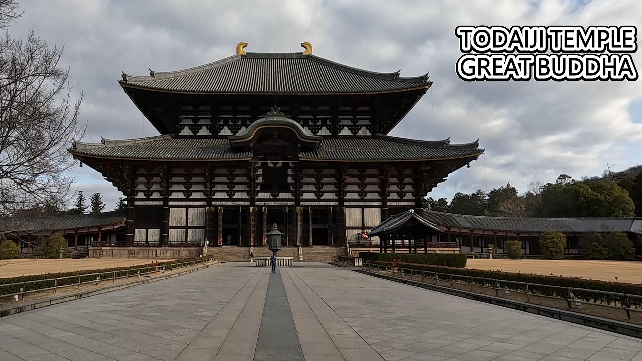 Todai-ji Temple Morning Walk | Great Buddha of Nara & Nigatsudo Hall | Japan 4K