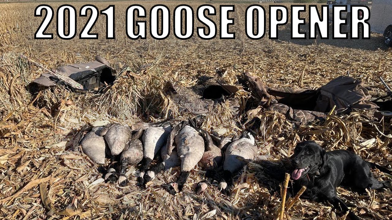 2021 IOWA GOOSE OPENER