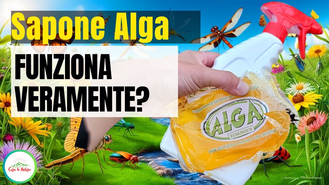 Sapone alga per curare le piante da INFESTAZIONI DI INSETTI COME AFIDI COCCINIGLIA ECC.