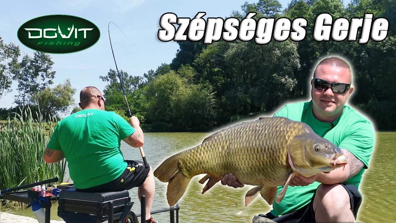 DOVIT METHOD FEEDER - Szépséges Gerje