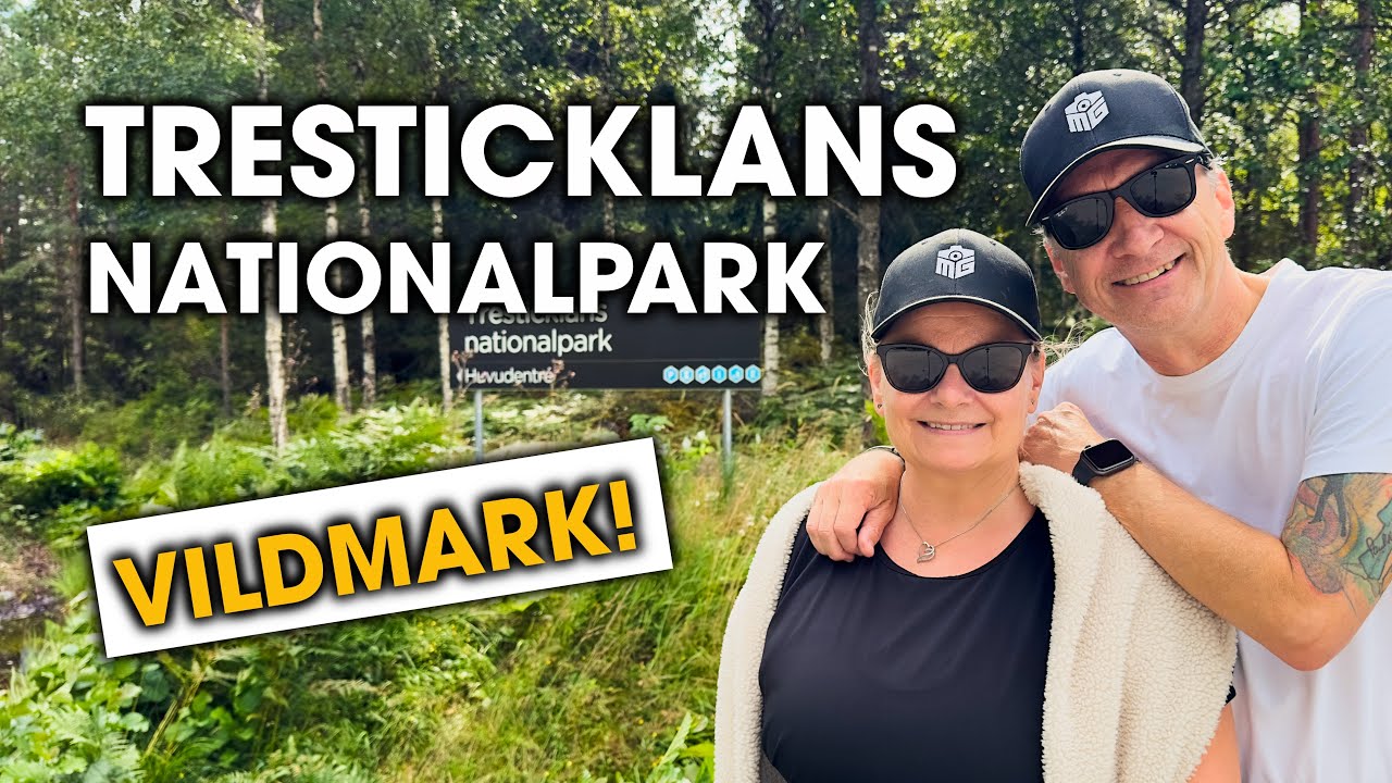 Tresticklans Nationalpark | Vildmark & Djupa Skogar!