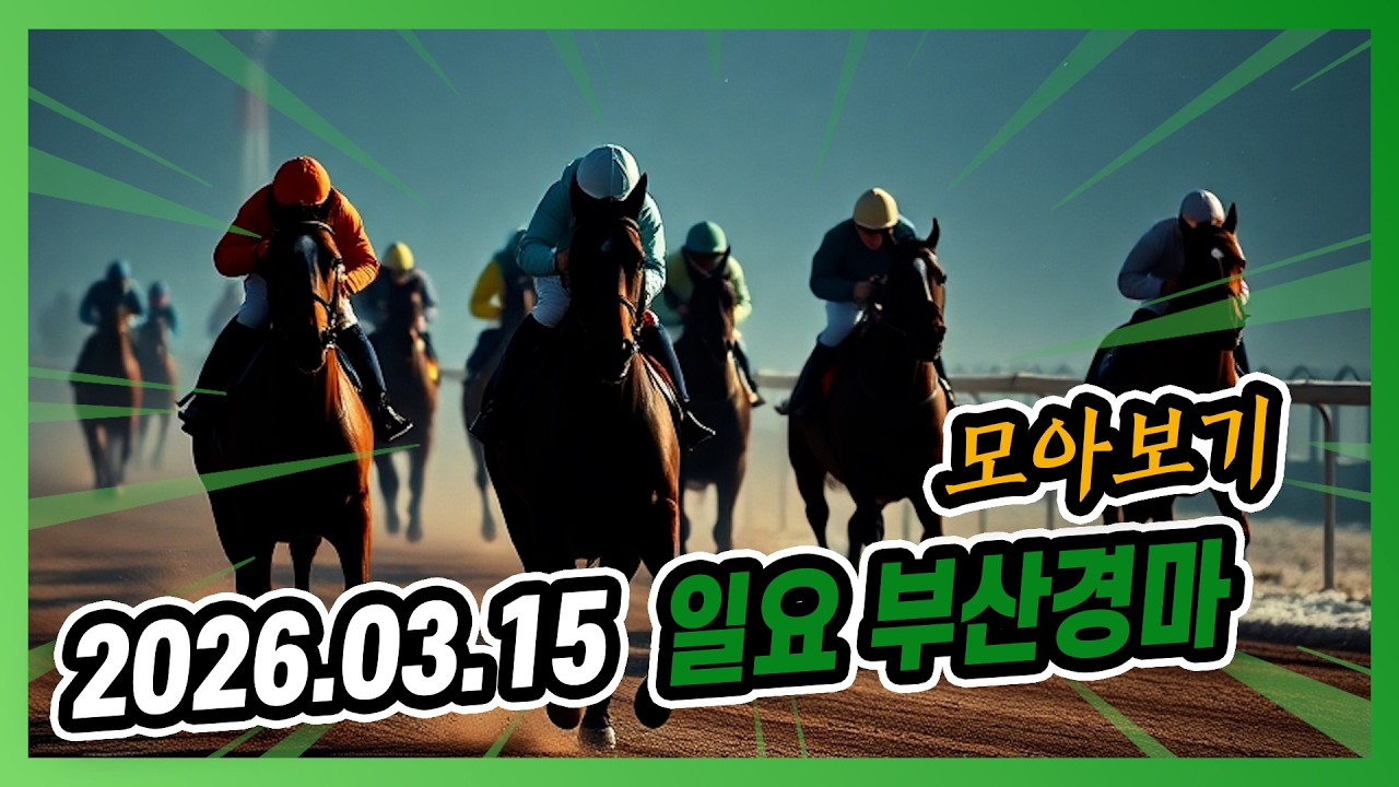 2026년 3월 15일 일요 부산경마 전체경주 모아보기