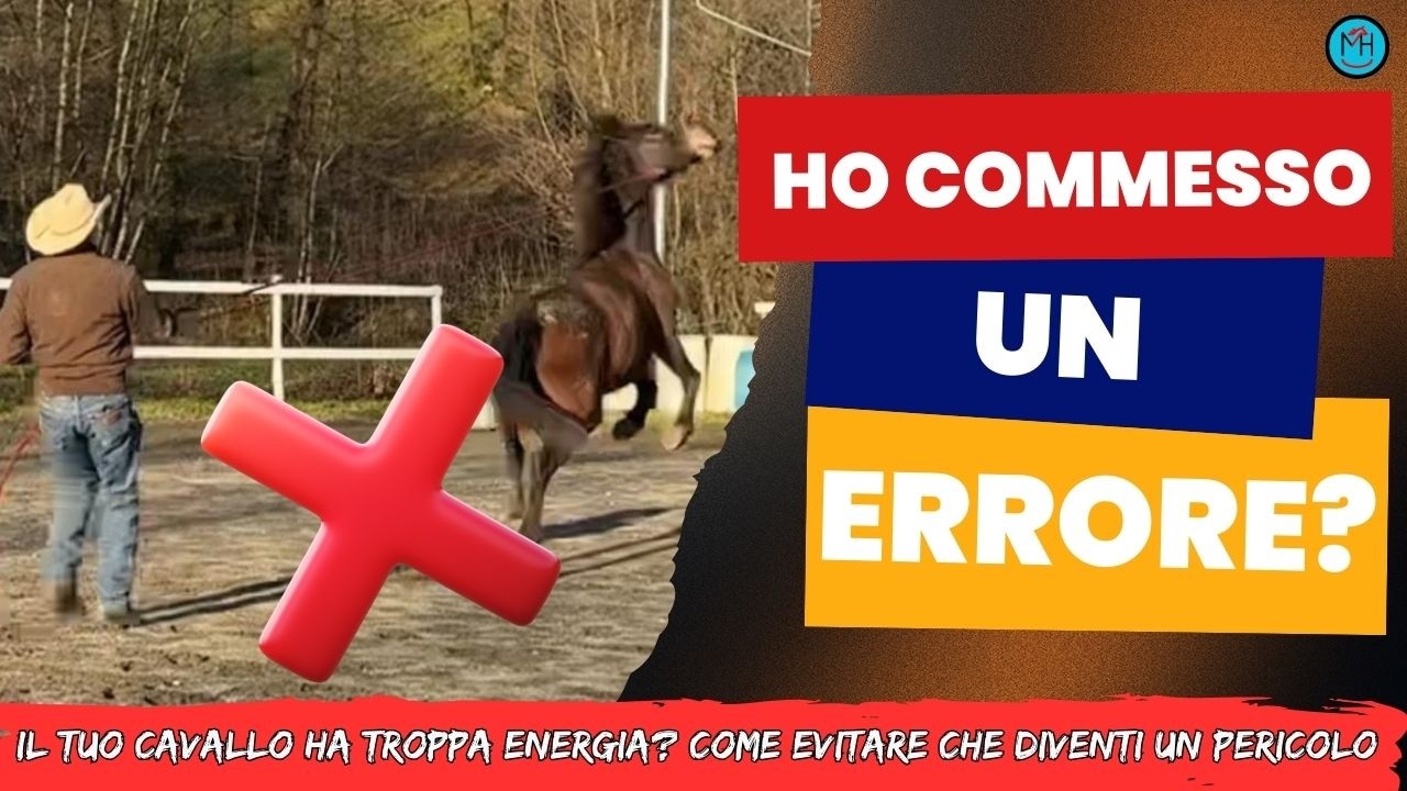 Il tuo cavallo ti ha travolto? Ecco dove hai sbagliato (e come rimediare)