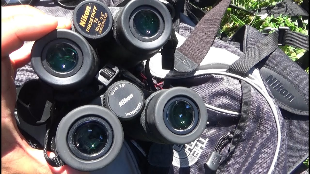 Comparison Nikon Prostaff 7S 10x42 vs Nikon Prostaff P7 10x42
