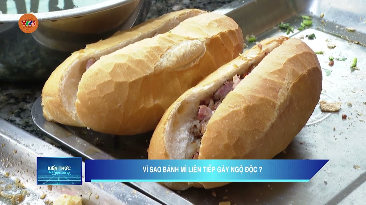 VÌ SAO BÁNH MỲ LIÊN TIẾP GÂY NGỘ ĐỘC | VTV5