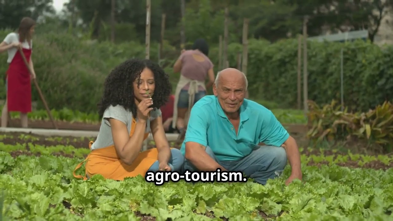 Business Opportunities in Belize