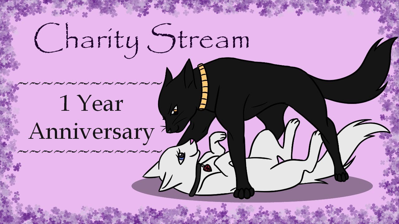 Charity Stream ~1 Year Anniversary~