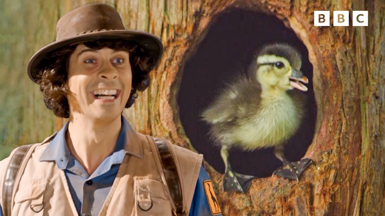 Aquatic Birds 🦆 | Andy's Aquatic Adventures | Andy's Amazing Adventures