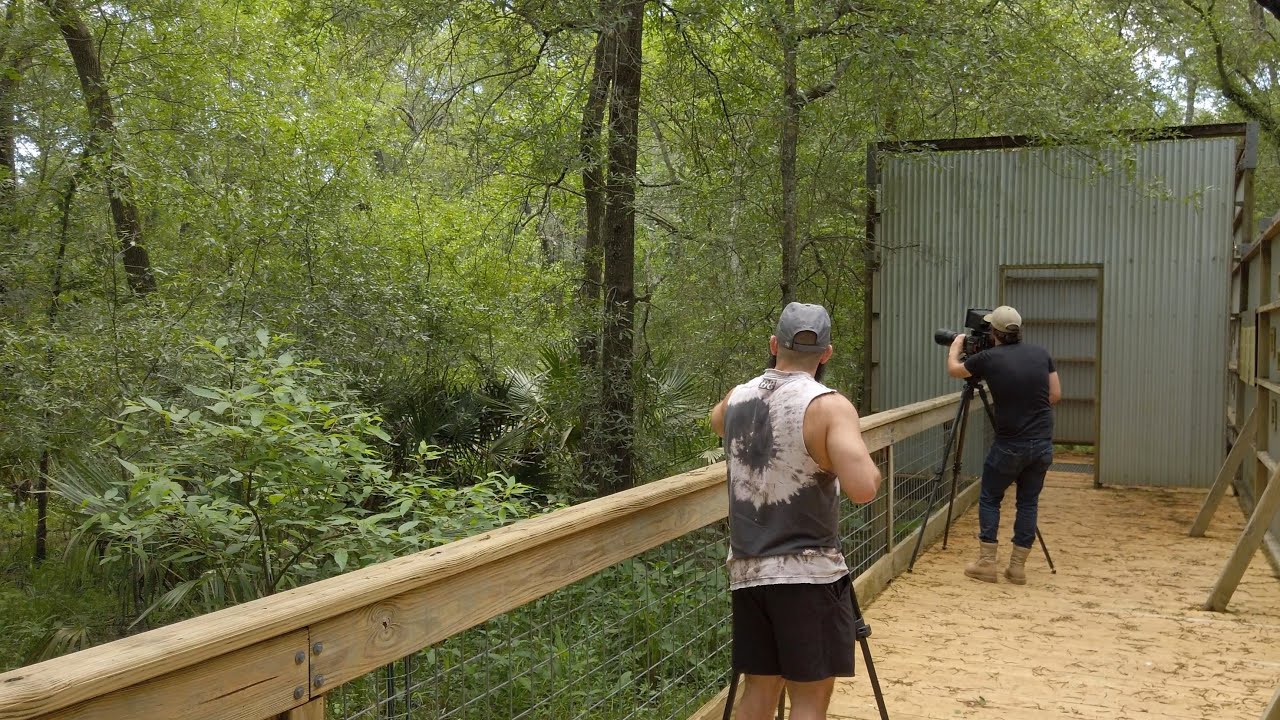 Armand Bayou Nature Center Walk, Relaxing Hiking Trails - Pasadena, Texas 4K asmr