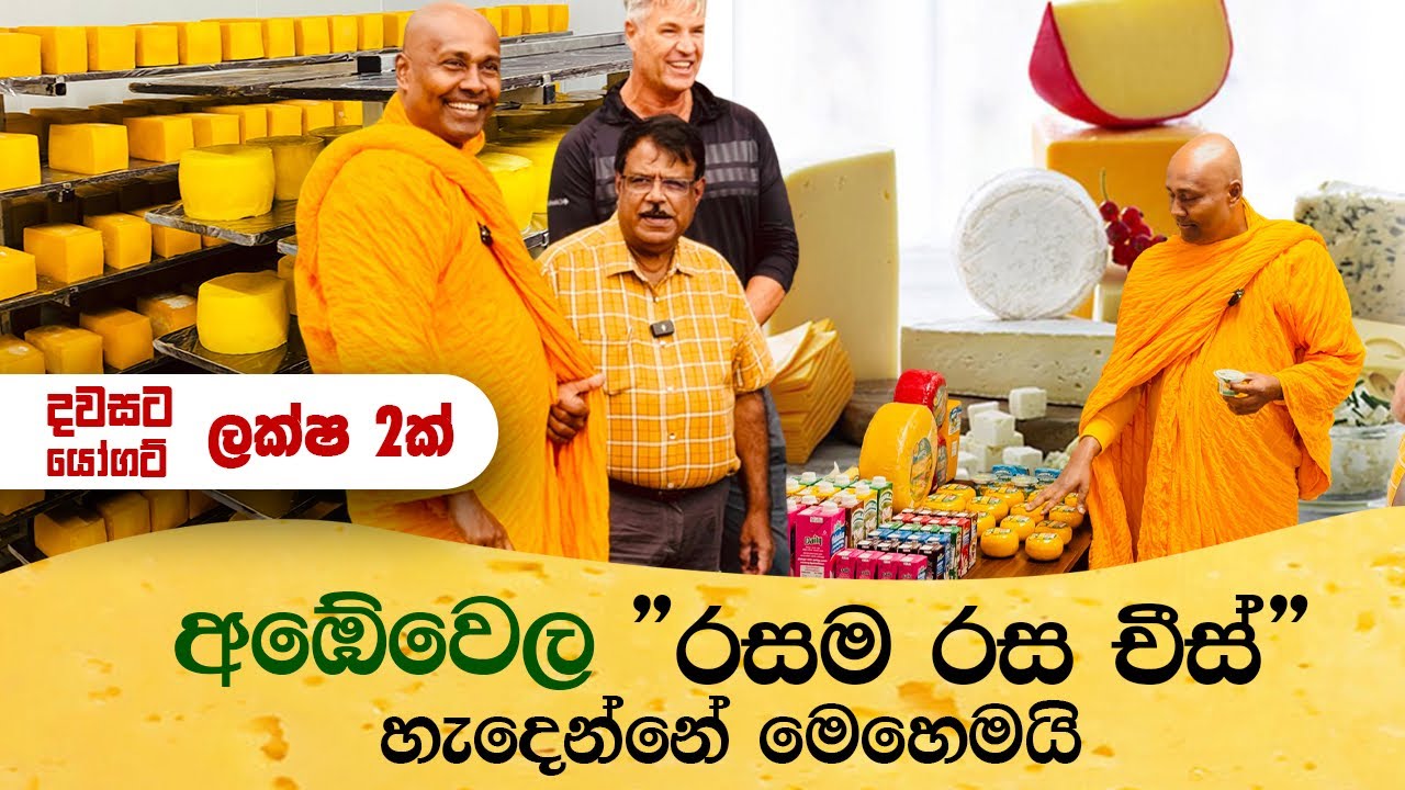අඹේවෙල රසම රස චීස් හැදෙන්නේ මෙහෙමයි 🧀🧈 Ambewela Farm Dairy Products