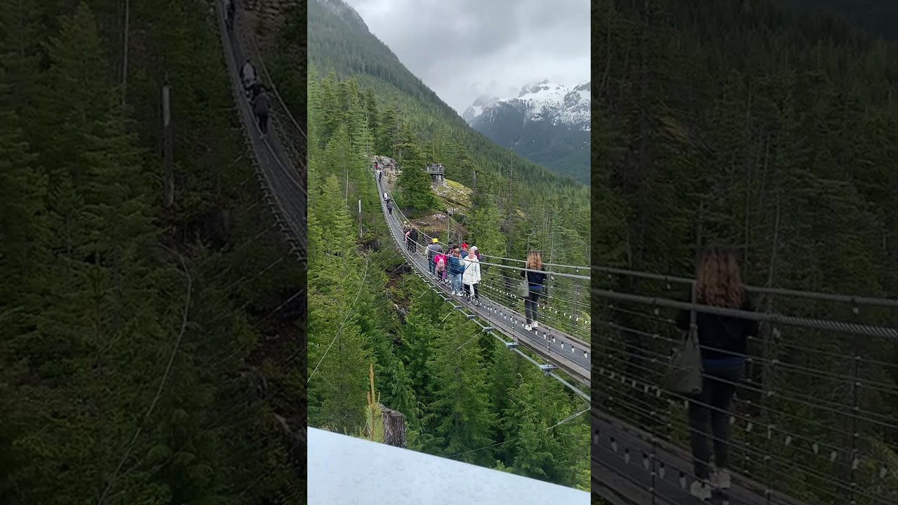 Walking the Sky Pilot Suspension Bridge: A Mountain Adventure