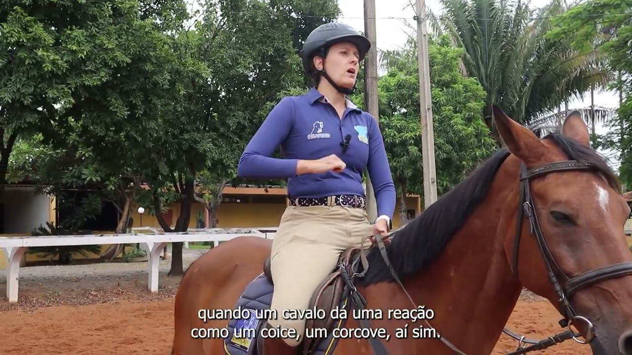 Você fica cansado após o treino?