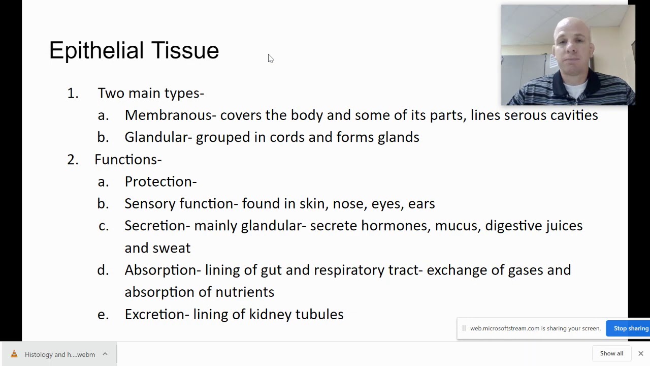 Intro to Epithelial Tiss 1