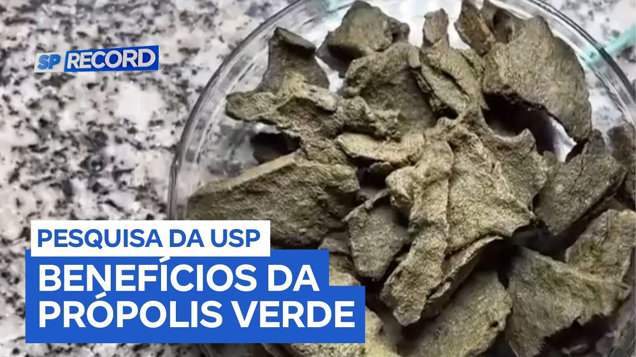 Estudo da USP aponta novos benefícios da própolis verde para o sistema nervoso