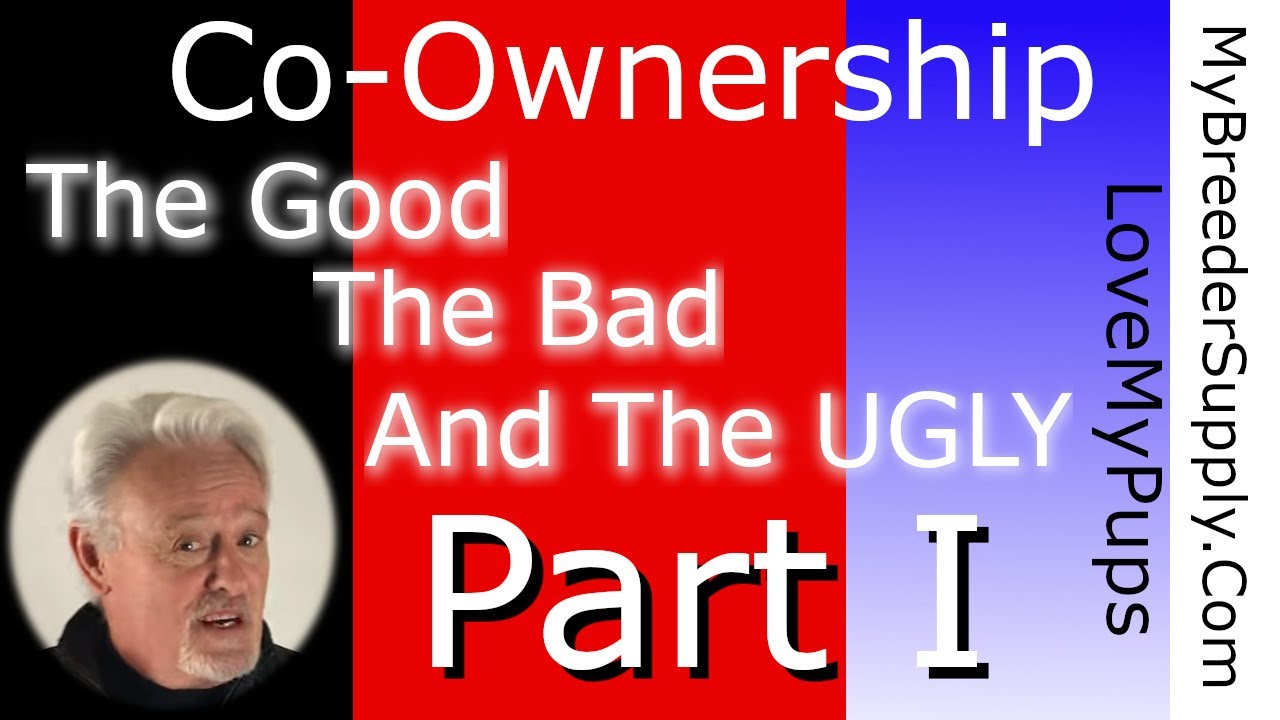 Dog Co-Ownership, Part I The Good The Bad & The Ugly