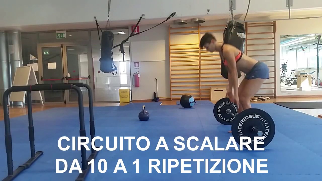 Circuit Training 10/1