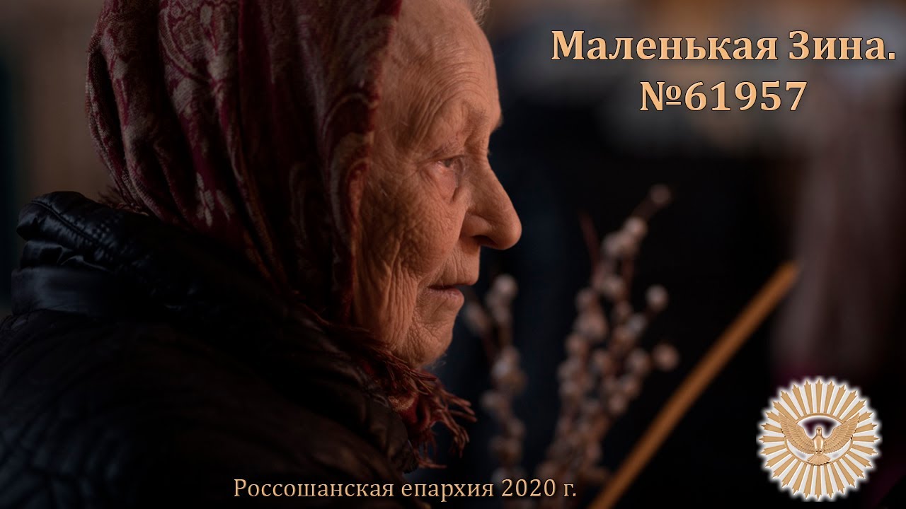 Маленькая Зина. История белорусской девочки, узницы Освенцима (Аушвиц-Биркенау) номер 61957.