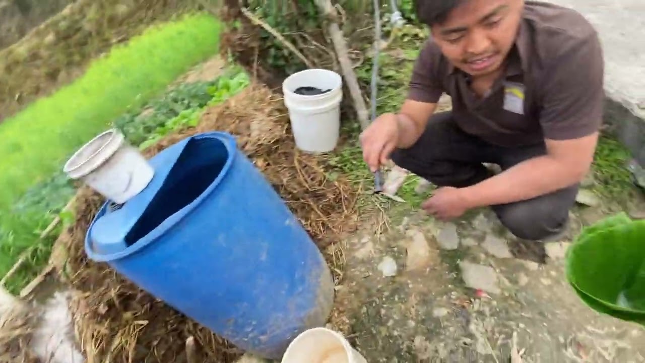 AGRO FARM SML❤️ gano gako dhanna 🥹 EPISODE 69