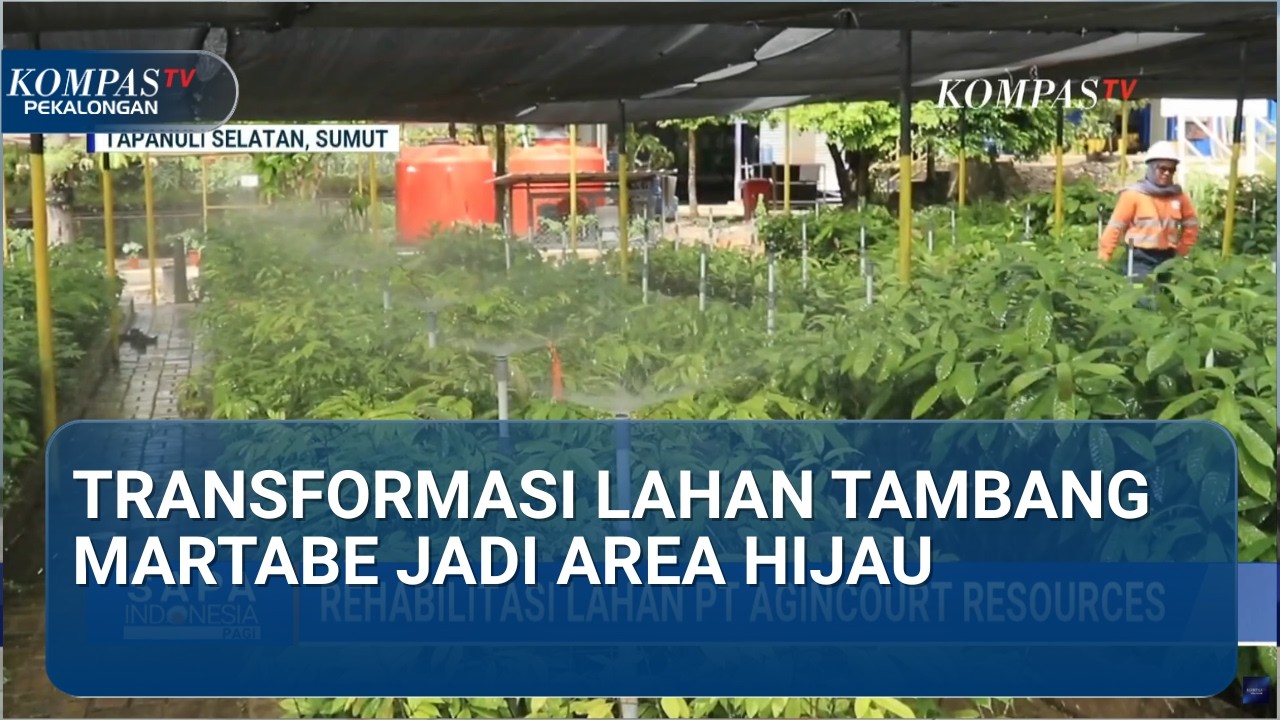 TIDAK TUNGGU TUTUP! PT Agincourt Resources Rehabilitasi Tambang Martabe Lebih Awal