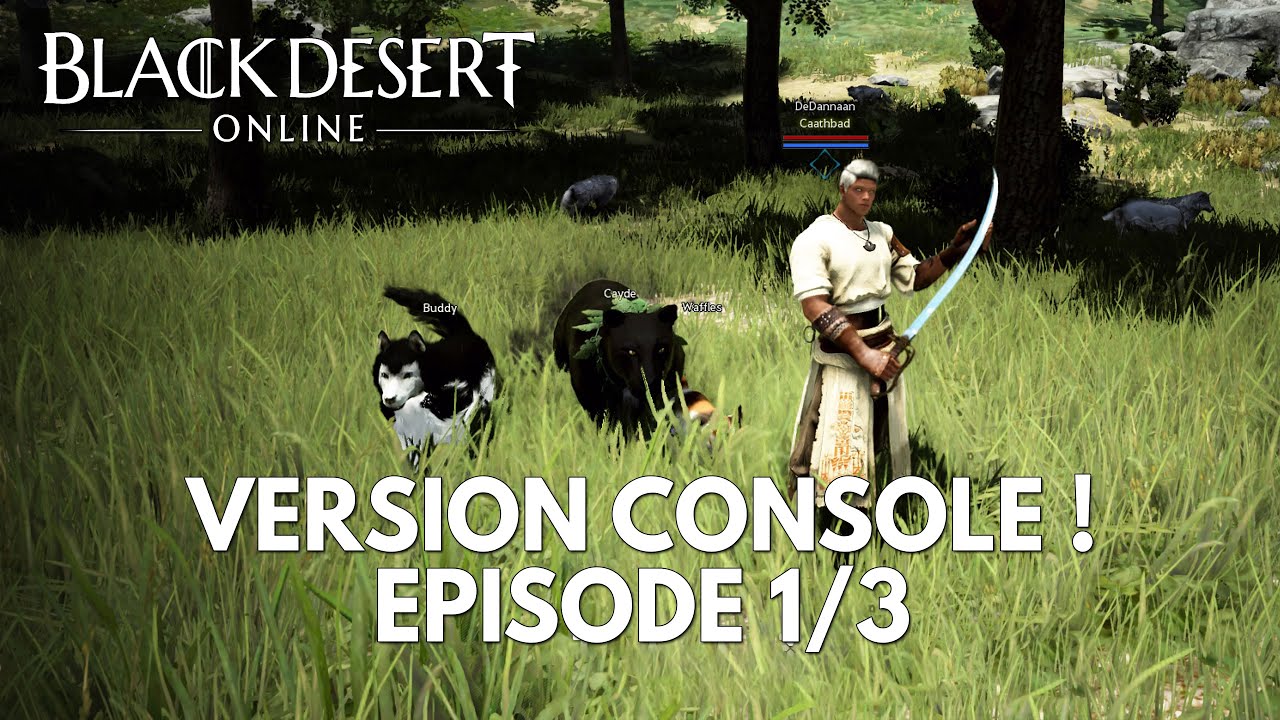 Black Desert Online Gameplay FR : Version PS4 / Xbox ! &eacute;pisode 1/3, les d&eacute;buts