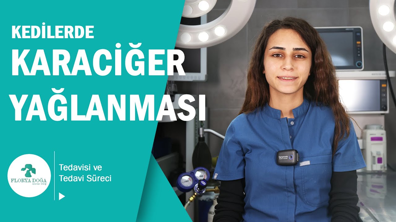 Karaciğer Yağlanması