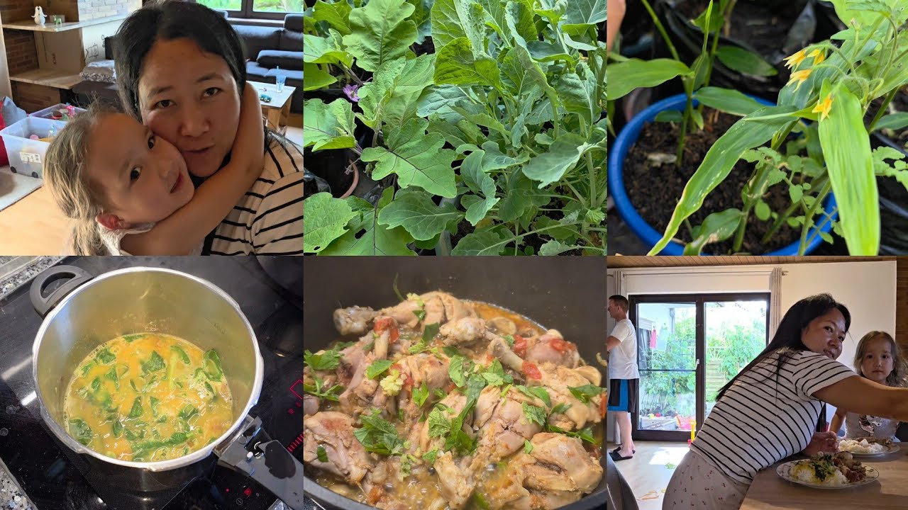 Chicken with Naga Herbs|Vlogging from my New Gimbal|Collecting veggies from garden.