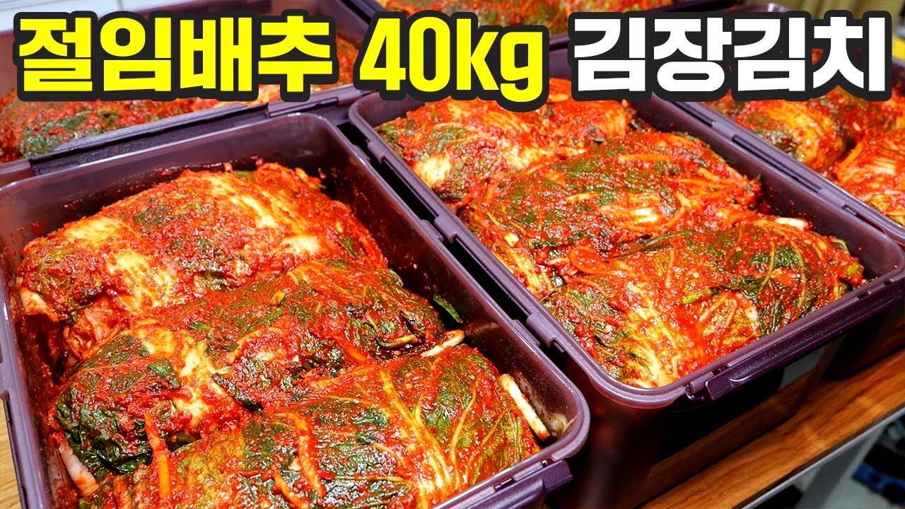2024년 최고의 김장김치 믿고 따라 해보세요