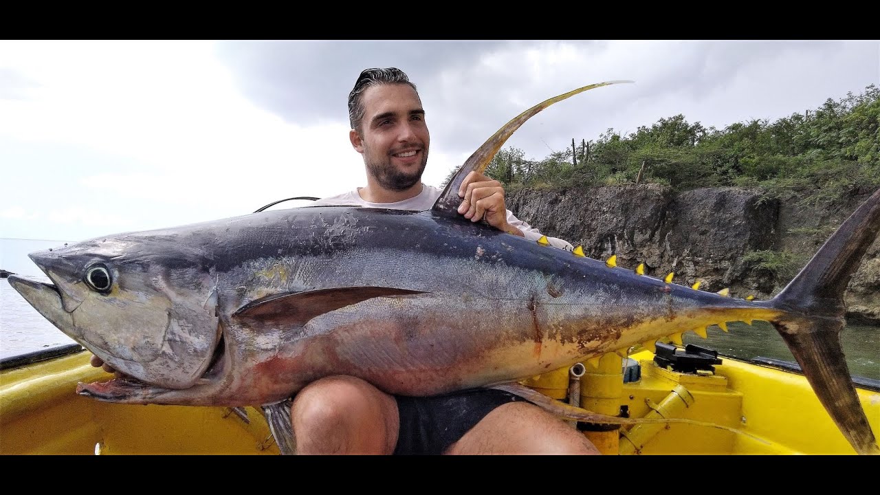 139 lbs yellowfin tuna with light tackle, sportfishing with Deckie Dirk from Curacao Fishing