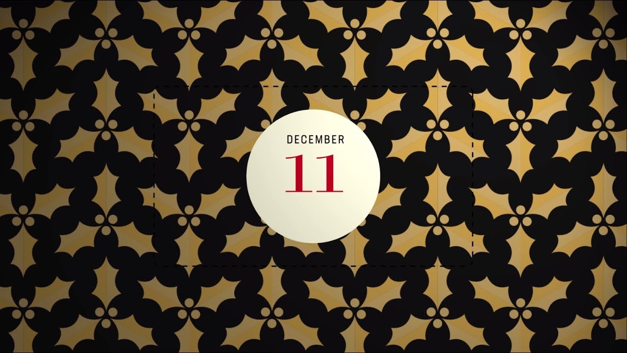 🎄 25 Tries of Christmas 🎄 Rabz Maxwane, Cheetahs vs Ulster