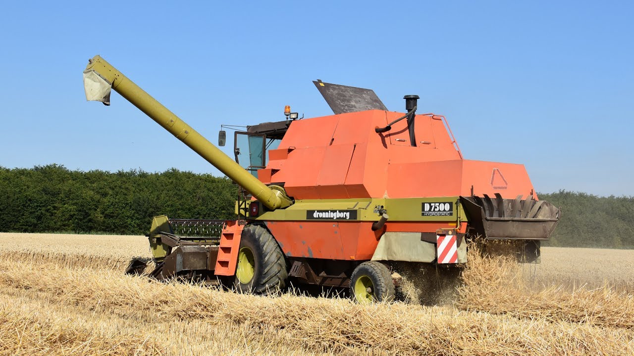 Dronningborg D7500  - tarwe dorsen
