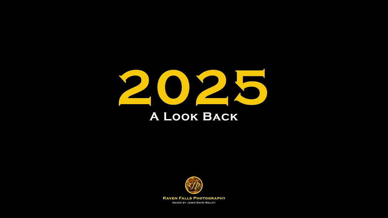 2025 - A Look Back