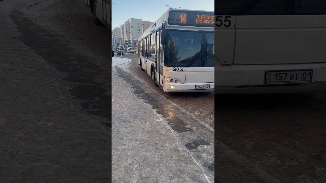Bus14🚌Astana💫#sorts