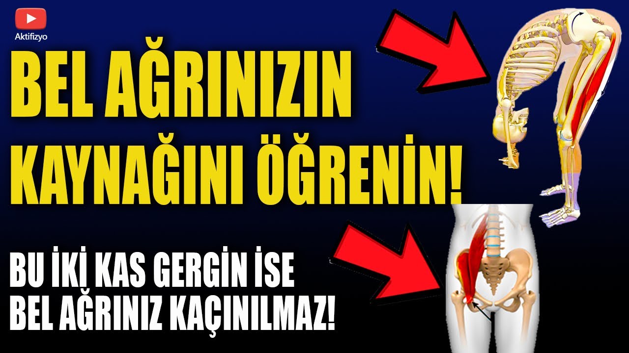 BEL AĞRINIZIN KAYNAĞINI ÖĞRENİN! #aktifizyo #belağrısı #belfıtığı