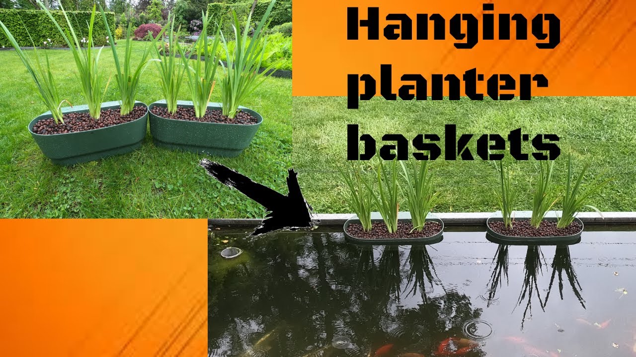 DIY hanging planter basket for pond, how to