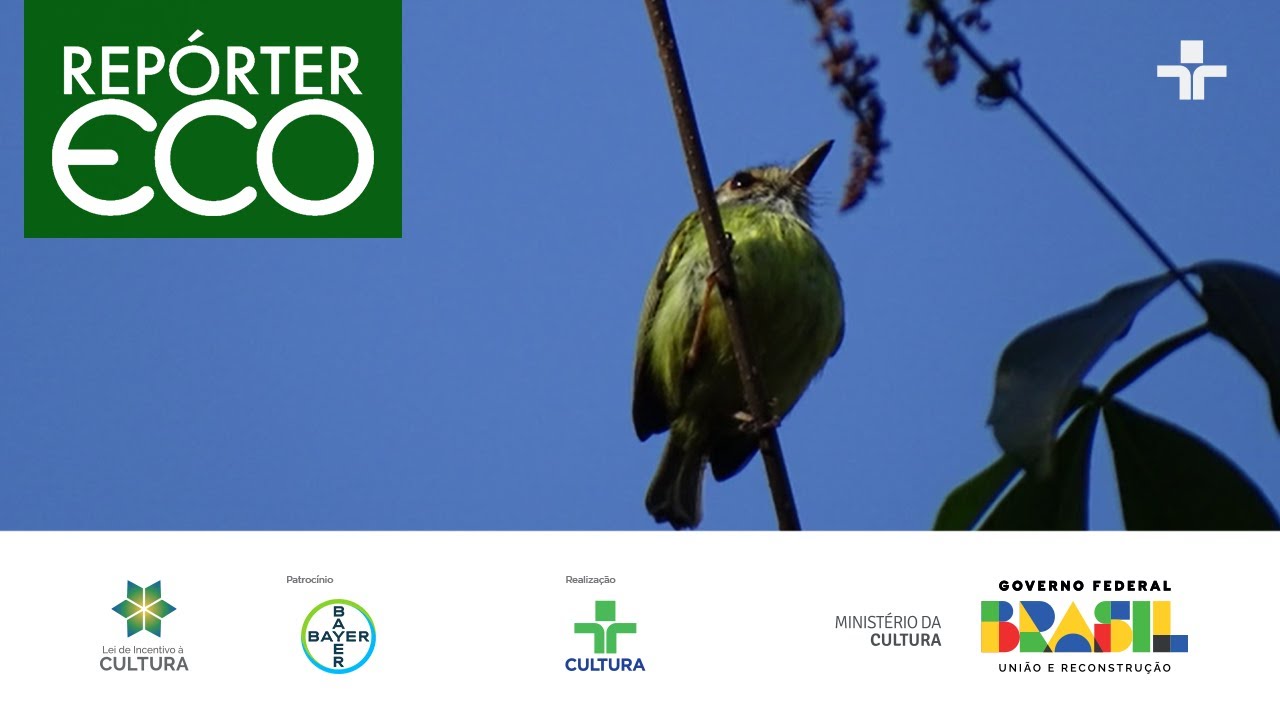 Repórter Eco | 02/07/2023