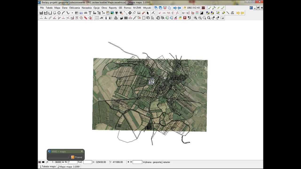 C-GEO z Google Maps i serwisami WMS