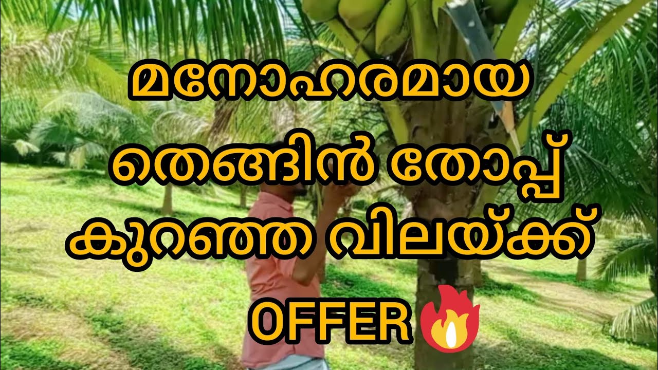 #21 പാലക്കാട് ജില്ലയിൽ കുറഞ്ഞ വിലയ്ക്ക് #realestate
