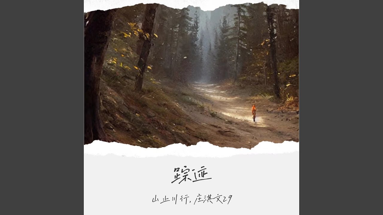 踪迹