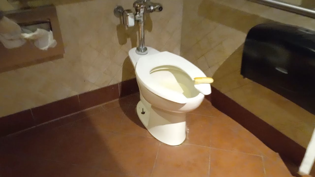 Toilet Flush At Olive Garden