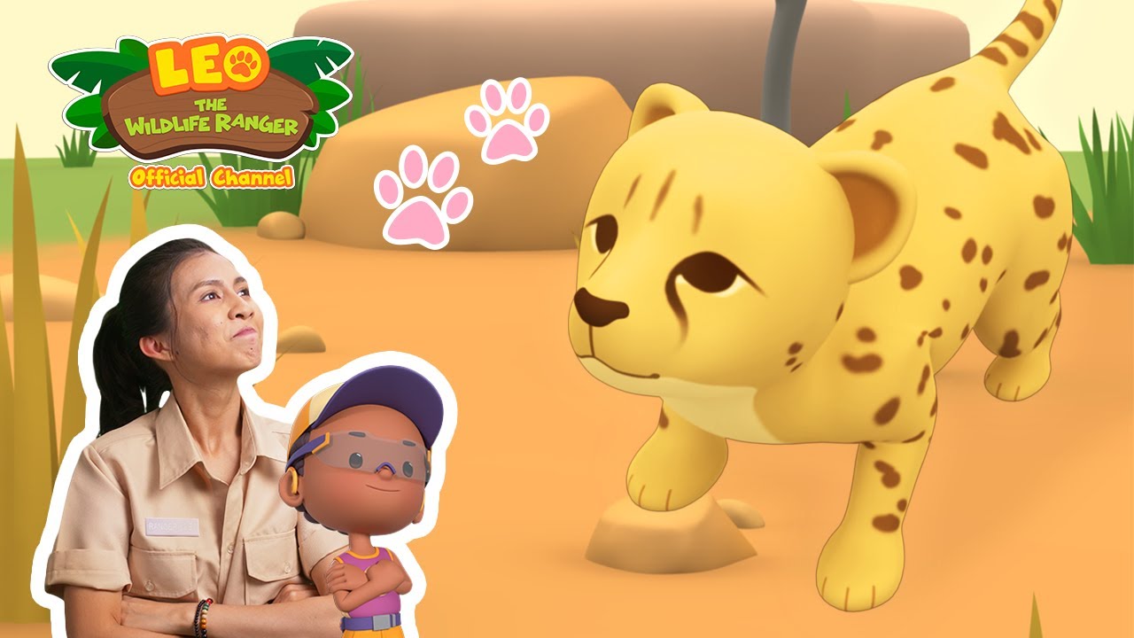 A CHEETAH OR A CHEATER?! | South African Cheetah 🐆 | Leo the Wildlife Ranger | #compilation