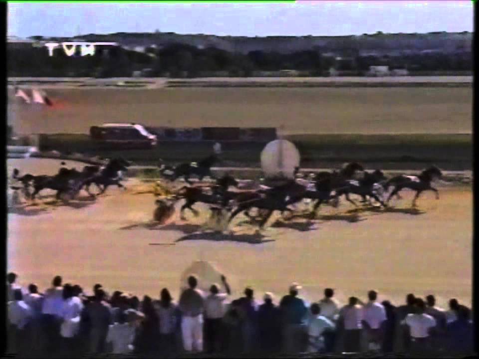 races from malta