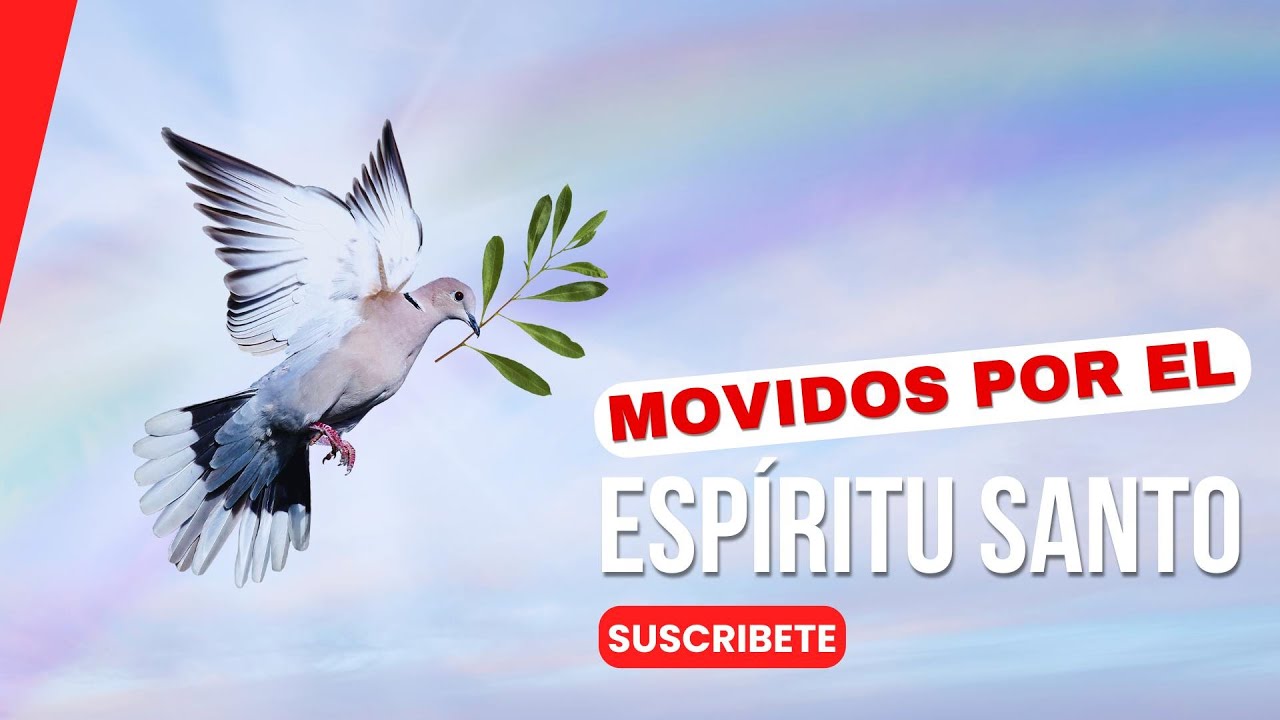 | Pastora Marisol Rodriguez MOVIDOS POR EL ESPIRITU  SANTO