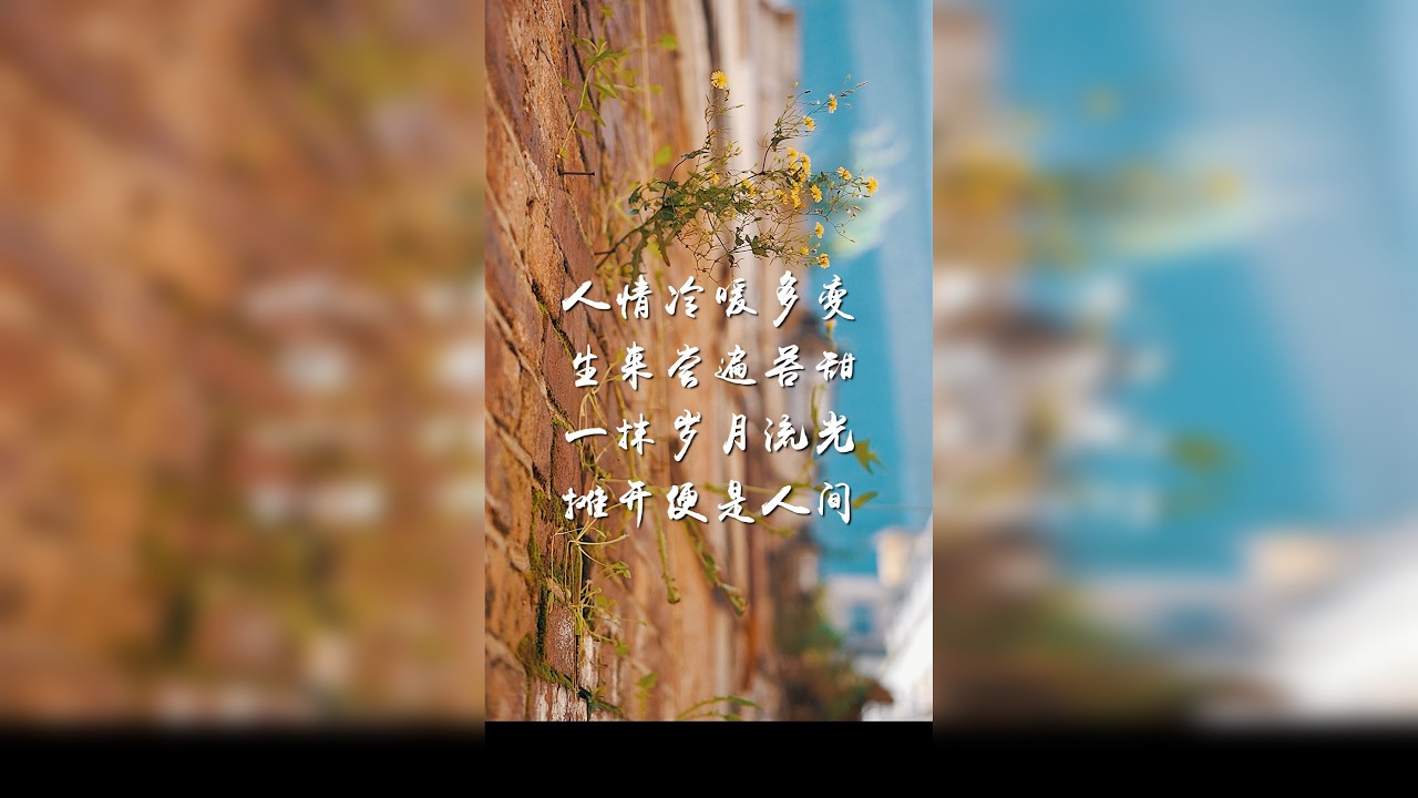 人生一摊：是一个摊位，更是一摊事儿。致敬每一位为生活努力奋斗的人。