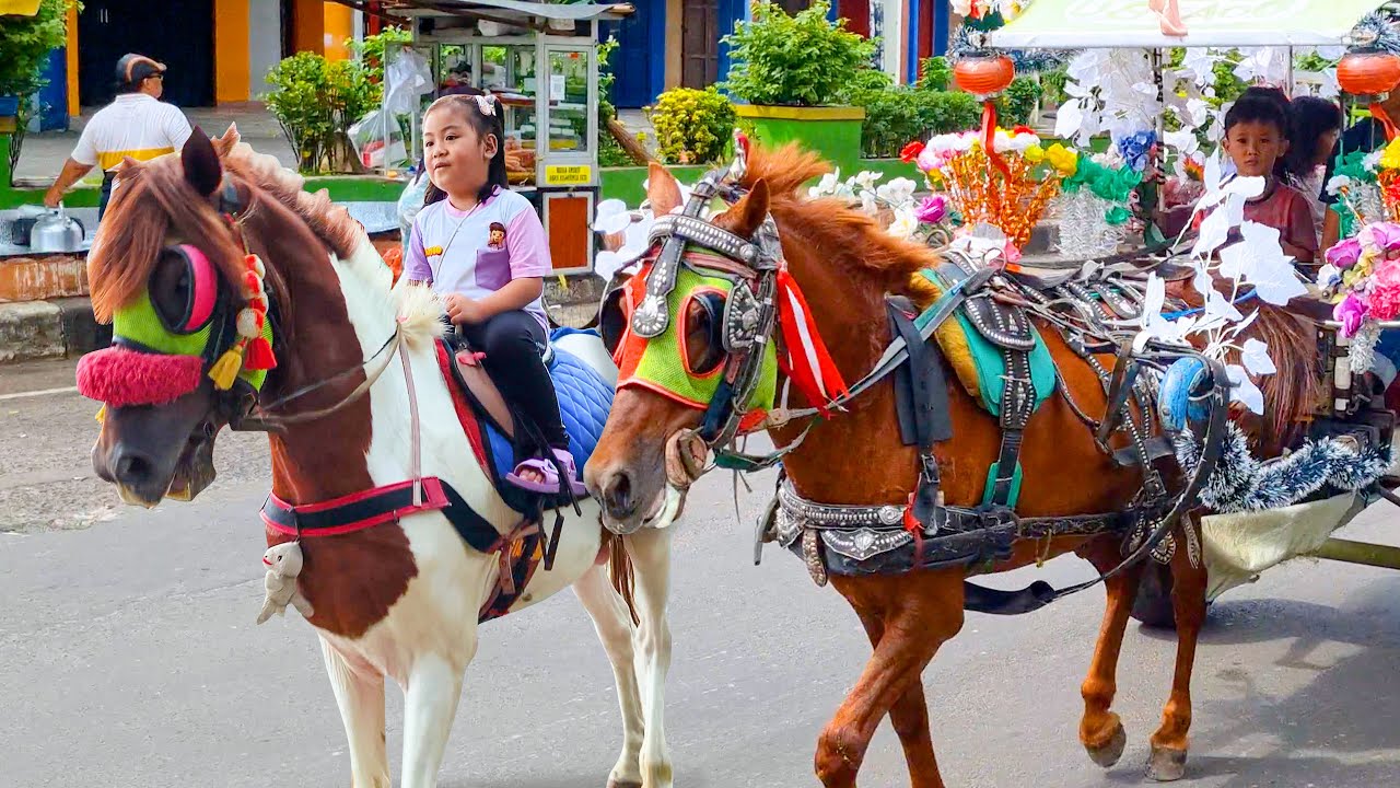 NAIK DELMAN ISTIMEWA 🐎 LAGU ANAK ANAK - KUDA DELMAN