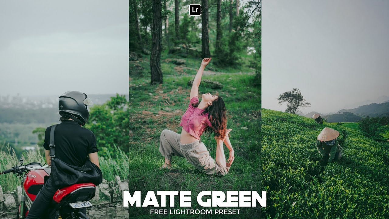 Matte Green Preset | Lightroom Mobile Preset Free DNG | matte tone | green preset | lightroom preset