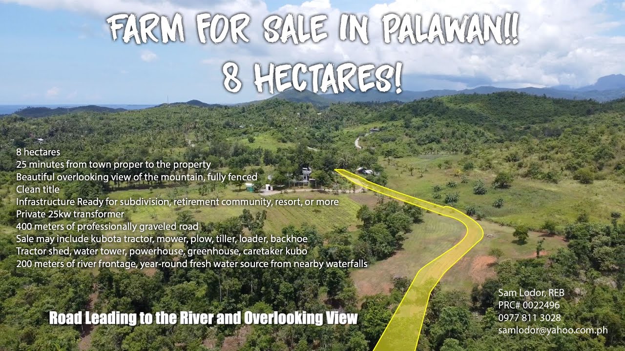 Farm Lot For Sale in Palawan | Own a piece of Paradise