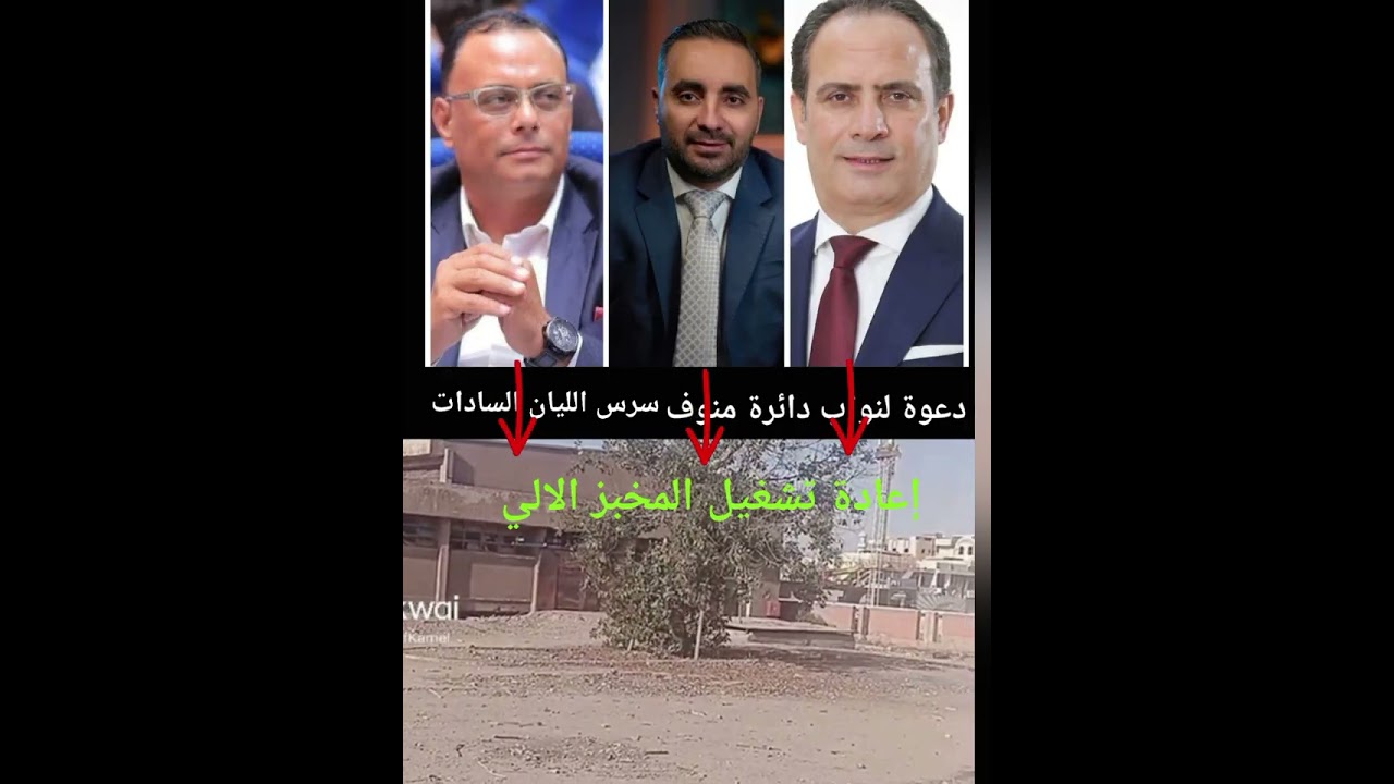 ١١ فبراير ٢٠٢٦