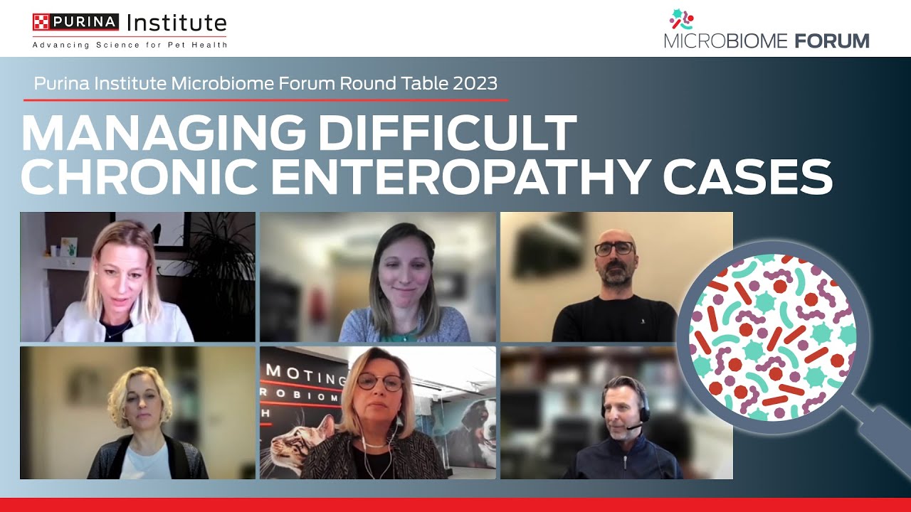 Purina Institute Microbiome Forum Round Table 2023: Managing Difficult Chronic Enteropathy Cases