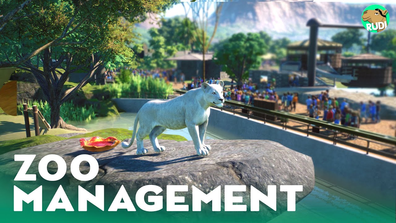 Zoo Management - Lion Fight, Hippo Escapes & more - lets play Planet Zoo Franchise