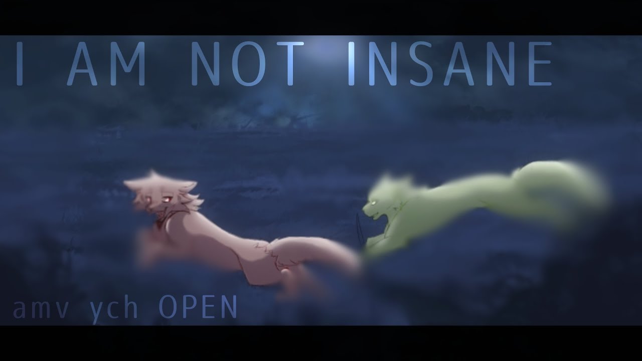 I AM NOT INSANE || AMV ych (closed)